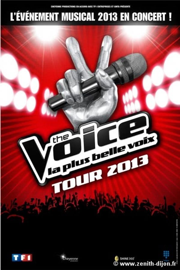 The Voice Tour à Brest