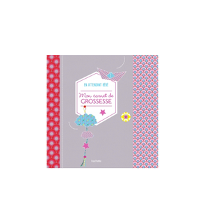 Avis Editions Hachette Mon Carnet De Grossesse En Attendant Bebe