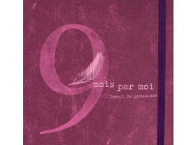 Avis Editions Hachette Mon Carnet De Grossesse En Attendant Bebe