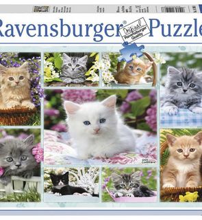 Puzzle 500 pièces - Pêle mêle de chatons - Ravensburger - 49x36 cm