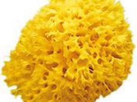 Avis Ok Baby Eponge Naturelle Honeycomb