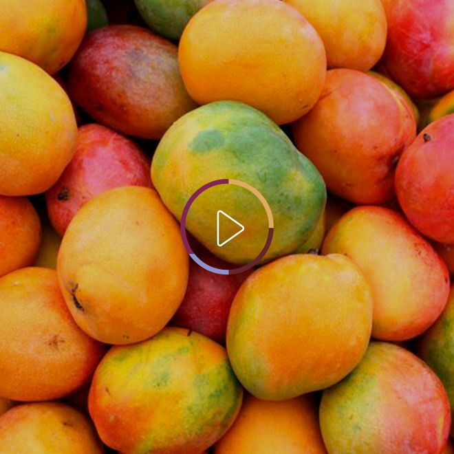 Propiedades del mango: una fruta tropical con muchos beneficios