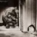 loveandcats