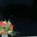 hanhan992