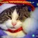 sweetkitty14