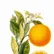 apfelsine8
