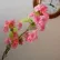 palotes1
