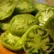 friedtomatoes