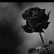 user143101