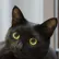 felinepalace