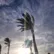 doreen83