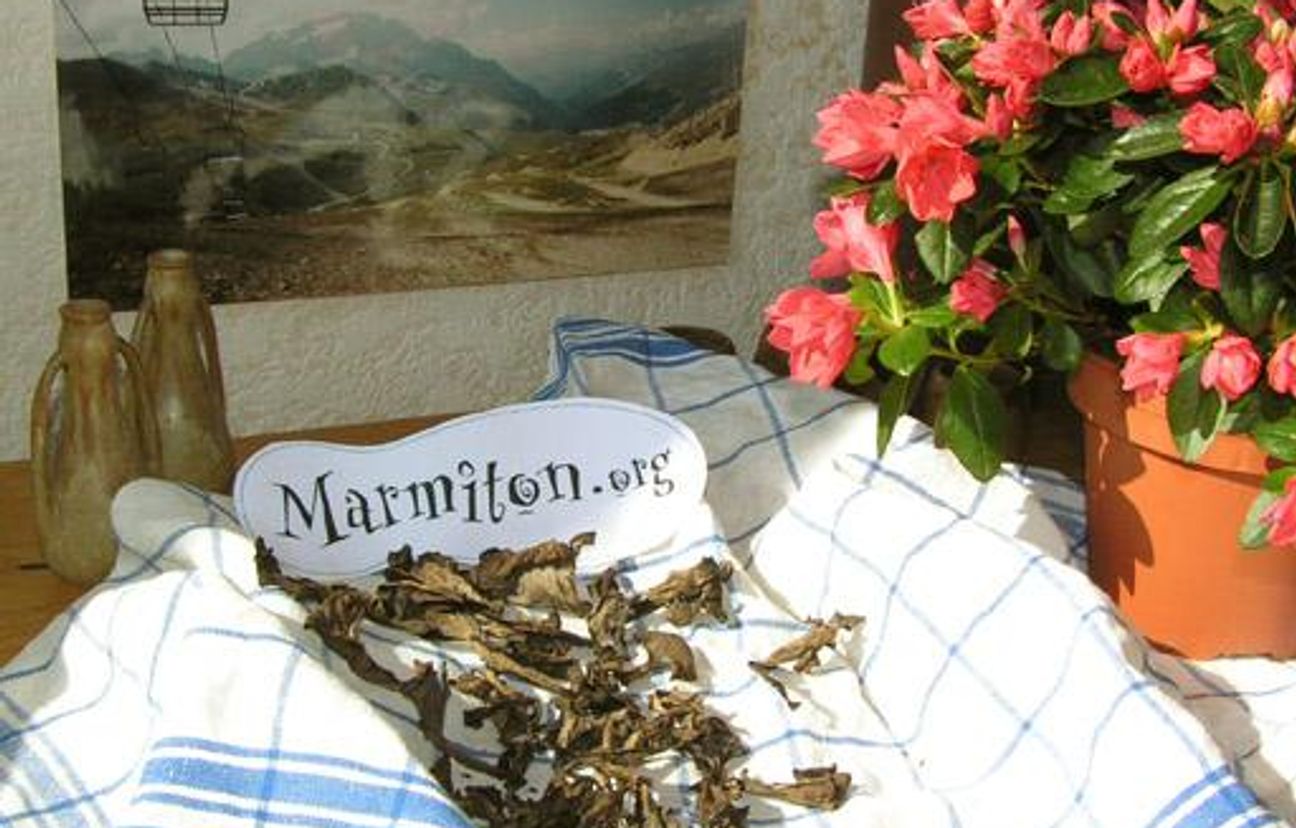 Trompettes de la mort séchées : Recette de Trompettes de la mort