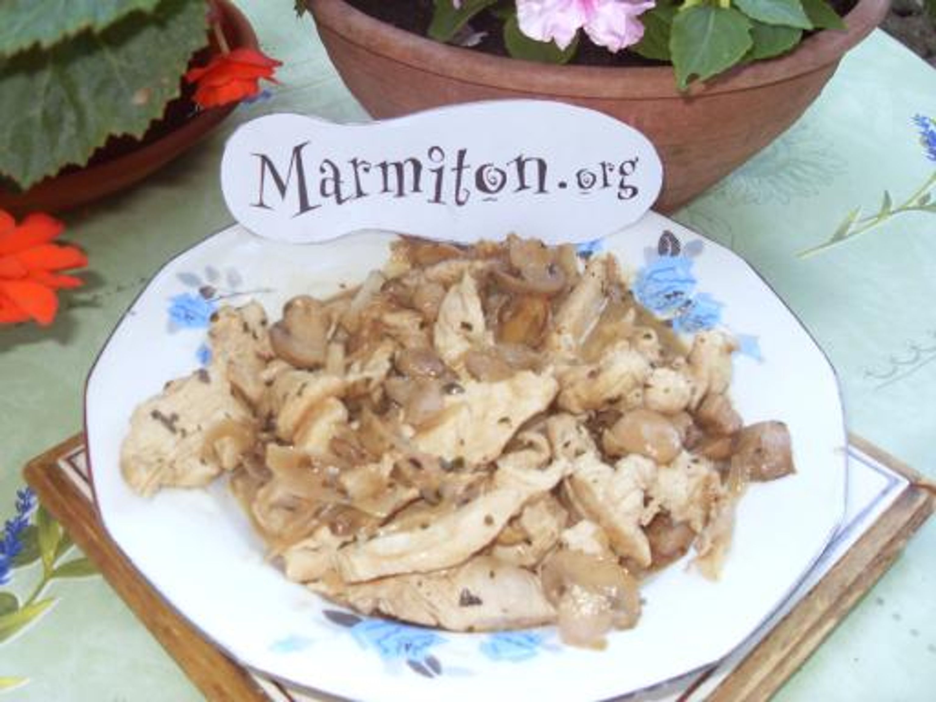 Blancs de poulet au basilic et vin blanc : Recette de Blancs de poulet