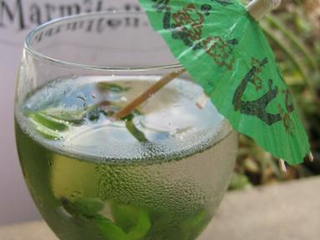 Sirop de menthe maison - Recette i-Cook'in