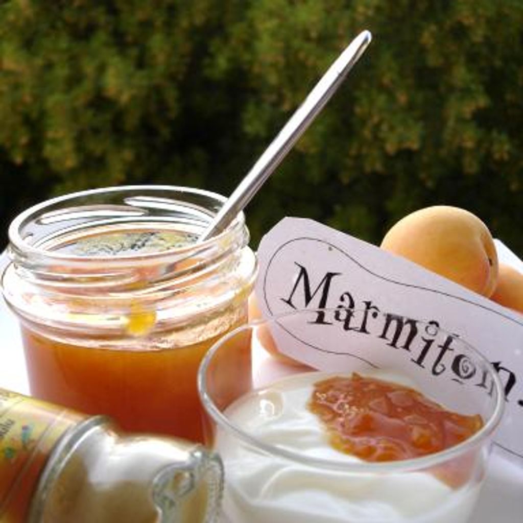 Arriba 45+ imagen confiture abricot recette grandmere marmiton fr