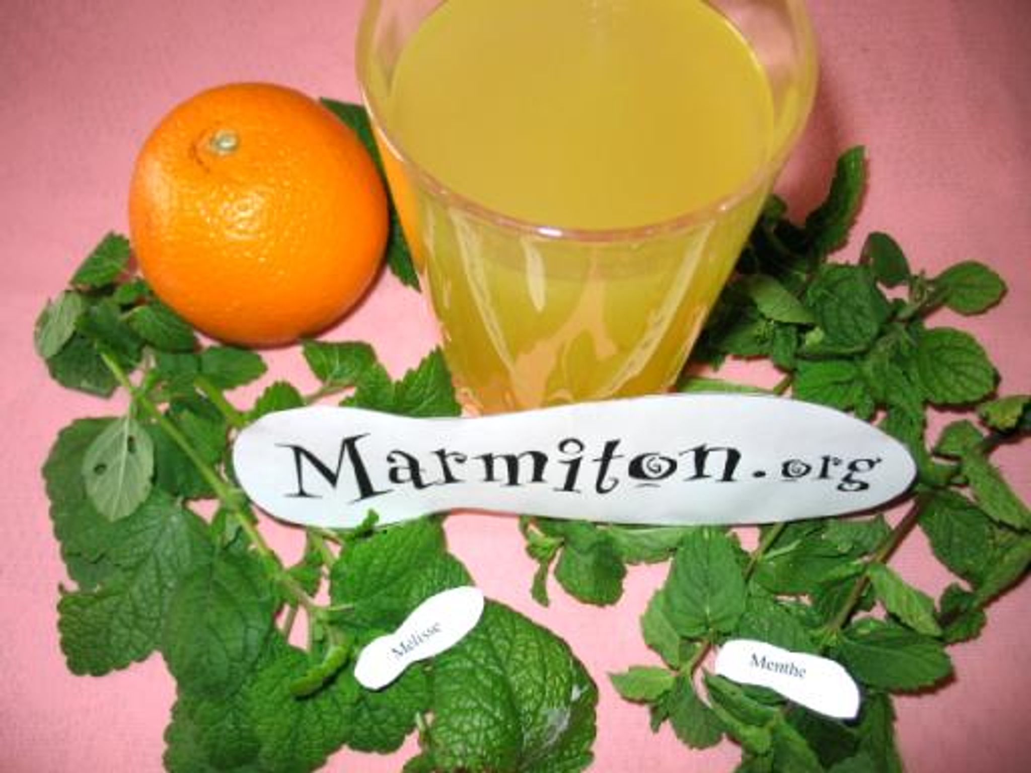 Boisson Miraculeuse d&rsquo;Elvire à la Mélisse