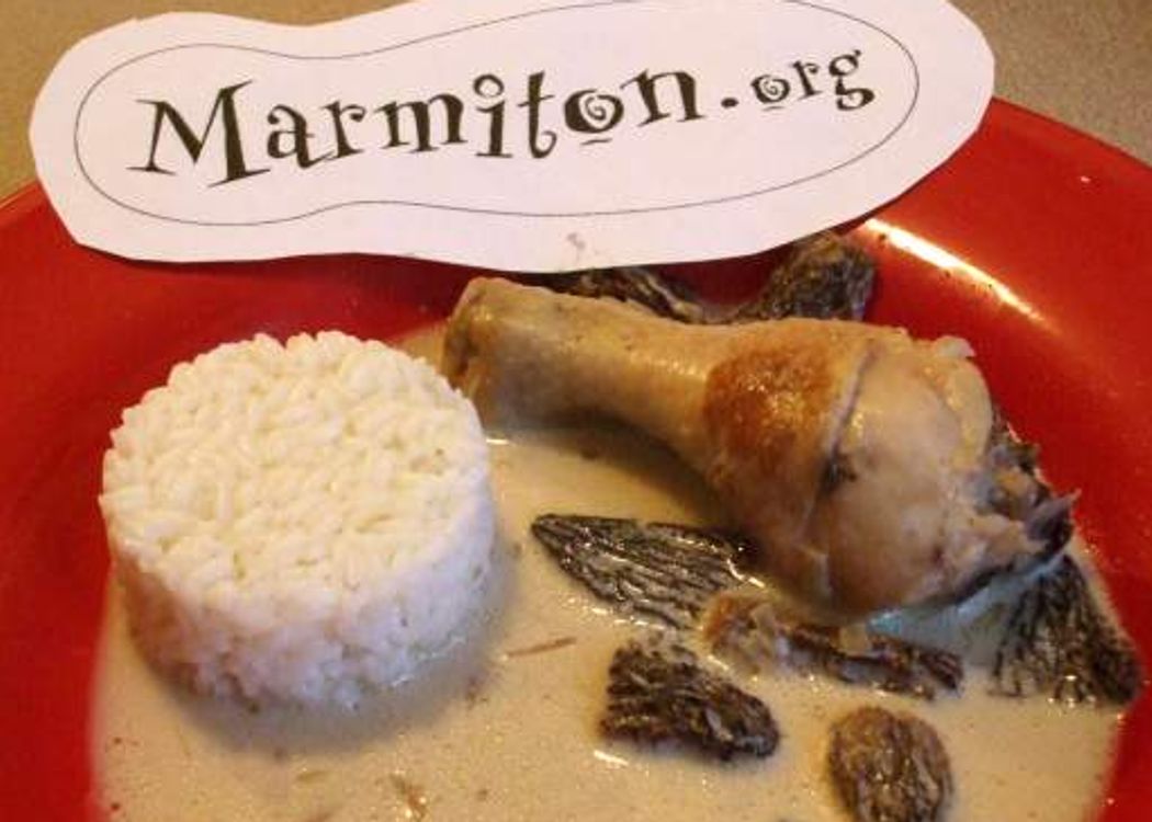 Poulet aux morilles et vin blanc : nos délicieuses recettes de poulet