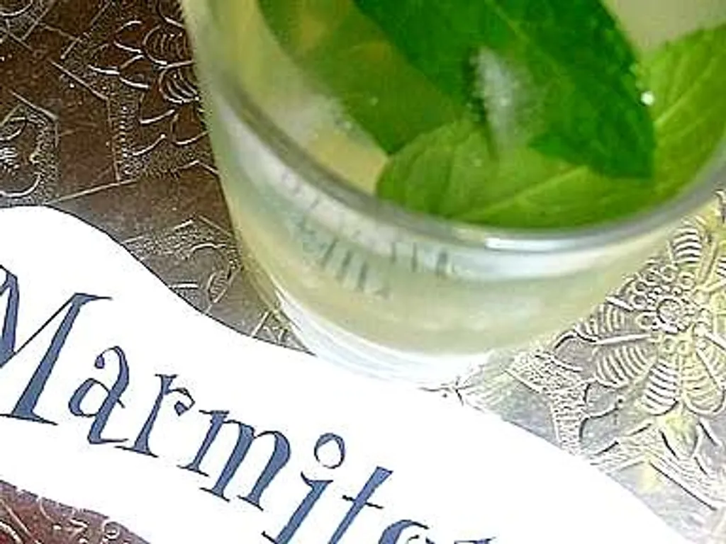 jus de citron à la menthe fraîche