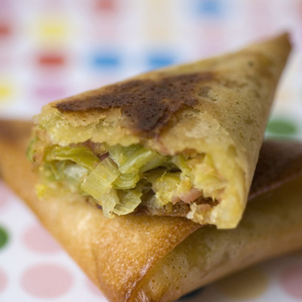 Recette Brick Au Thon Kiri Au Four Brick au thon et au poireau : recette de Brick au thon et au poireau