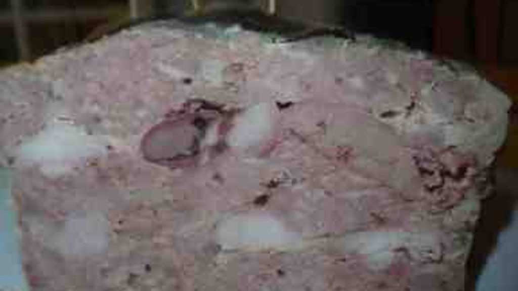 Terrine de Lapin