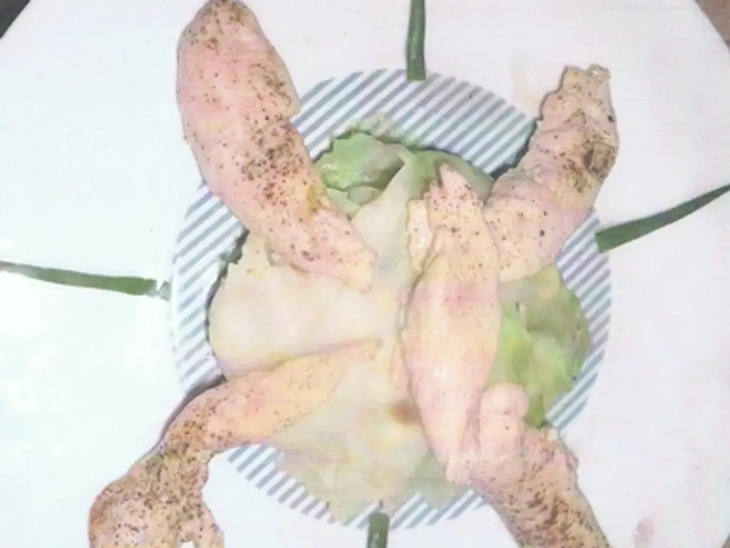 chou farci aux aiguillettes de poulet