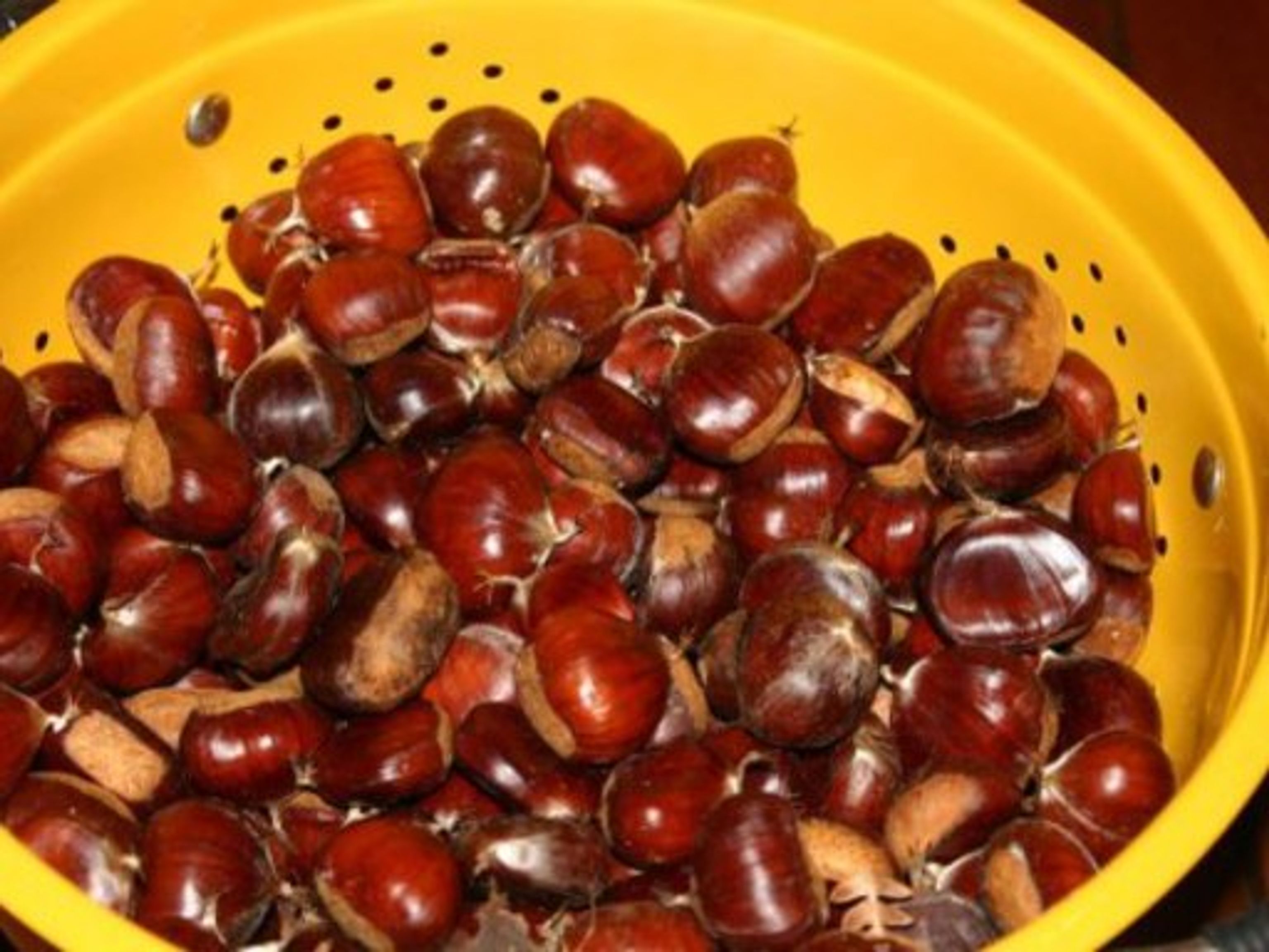 Châtaignes grillées au feu de bois Recette de Châtaignes grillées au