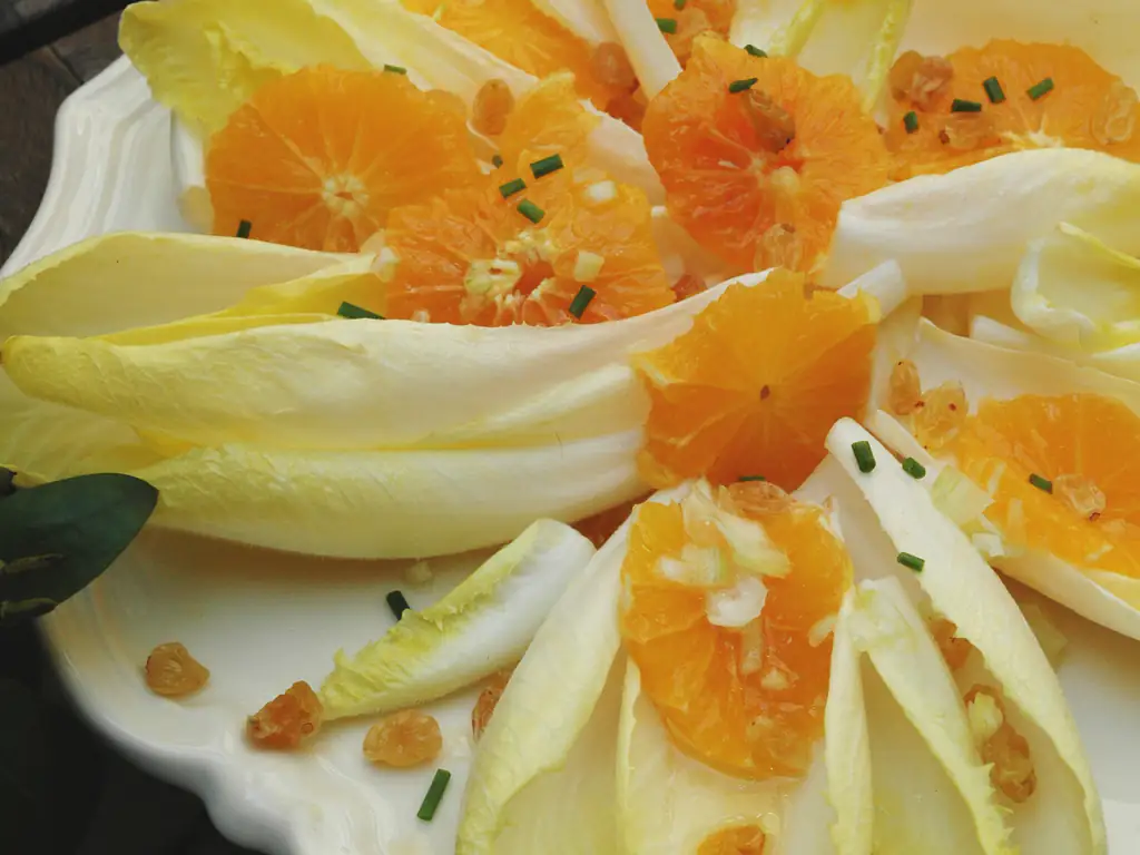salade fraîche d'endives et oranges