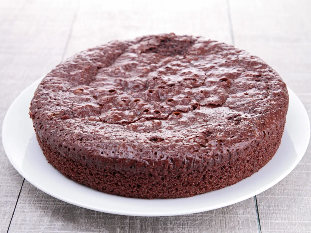 gâteau au chocolat au micro-ondes minute