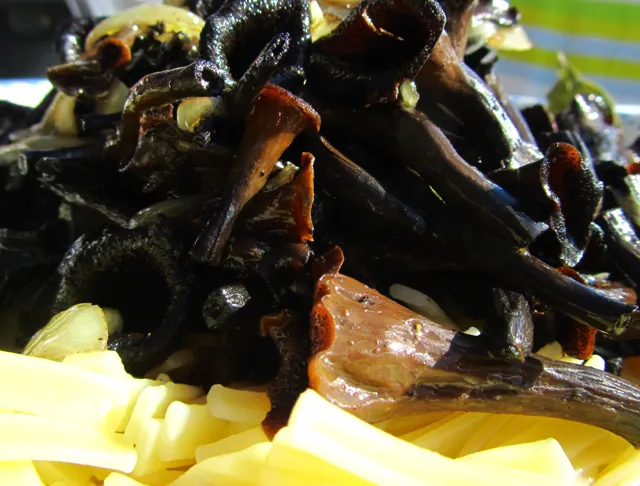 Pâtes aux trompettes de la mort : recette de Pâtes aux trompettes de la