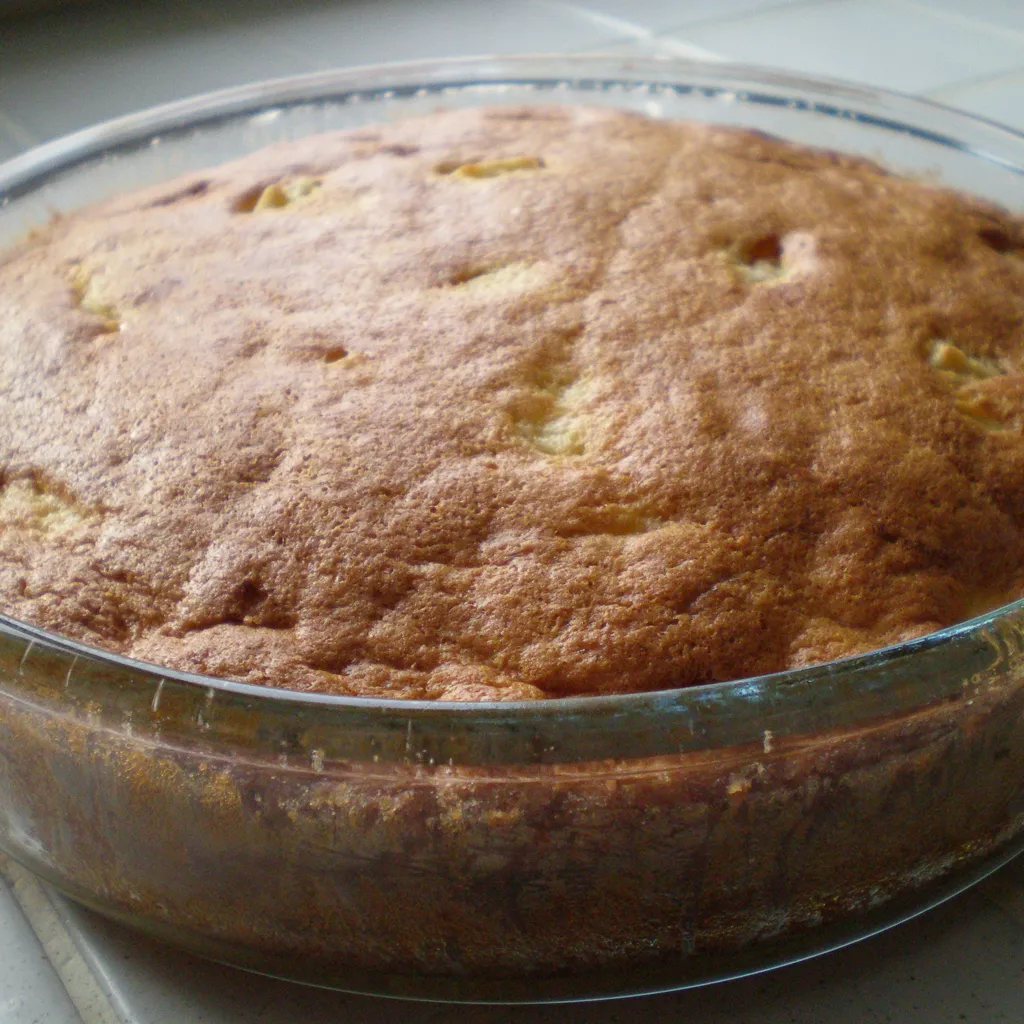 Gateau Aux Pommes A Tomber Par Terre Recette De Gateau Aux Pommes A Tomber Par Terre