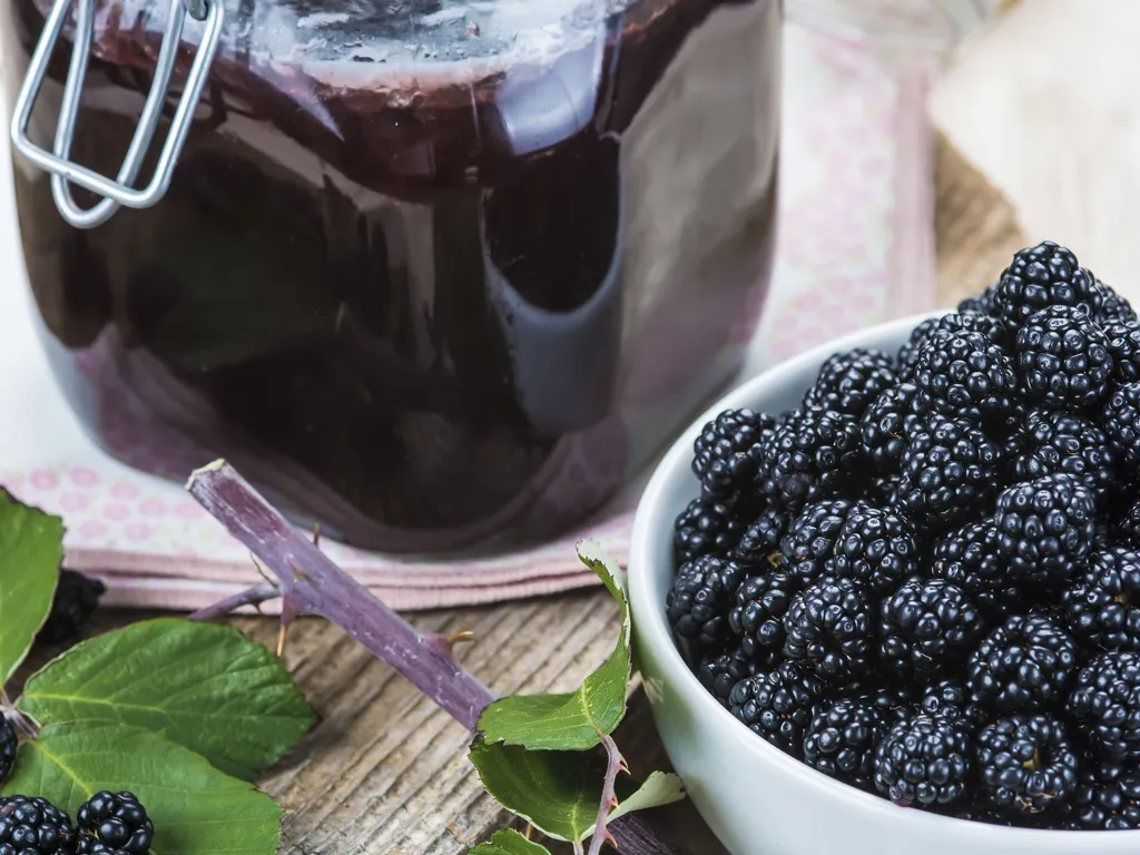 confiture simplissime de mûres