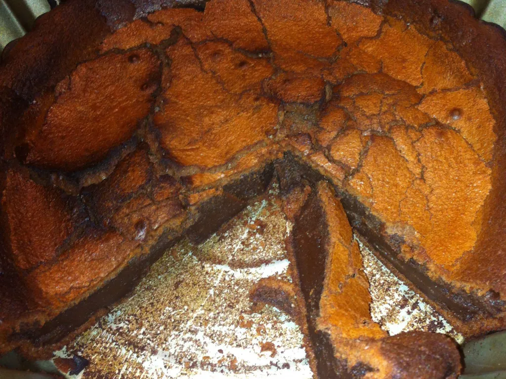 gâteau au chocolat pour les enfants et les grands gourmands