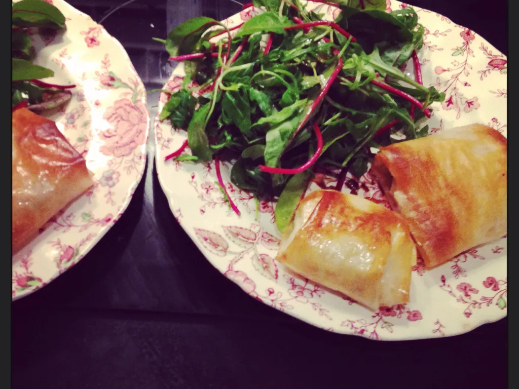 brick saumon frais et fromage frais (light)