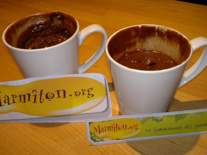 Mug Cake Chocolat Nutella Fondant Recette De Mug Cake Chocolat