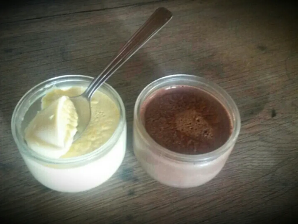 crèmes dessert faciles vanille et chocolat