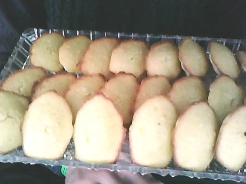 madeleines super faciles