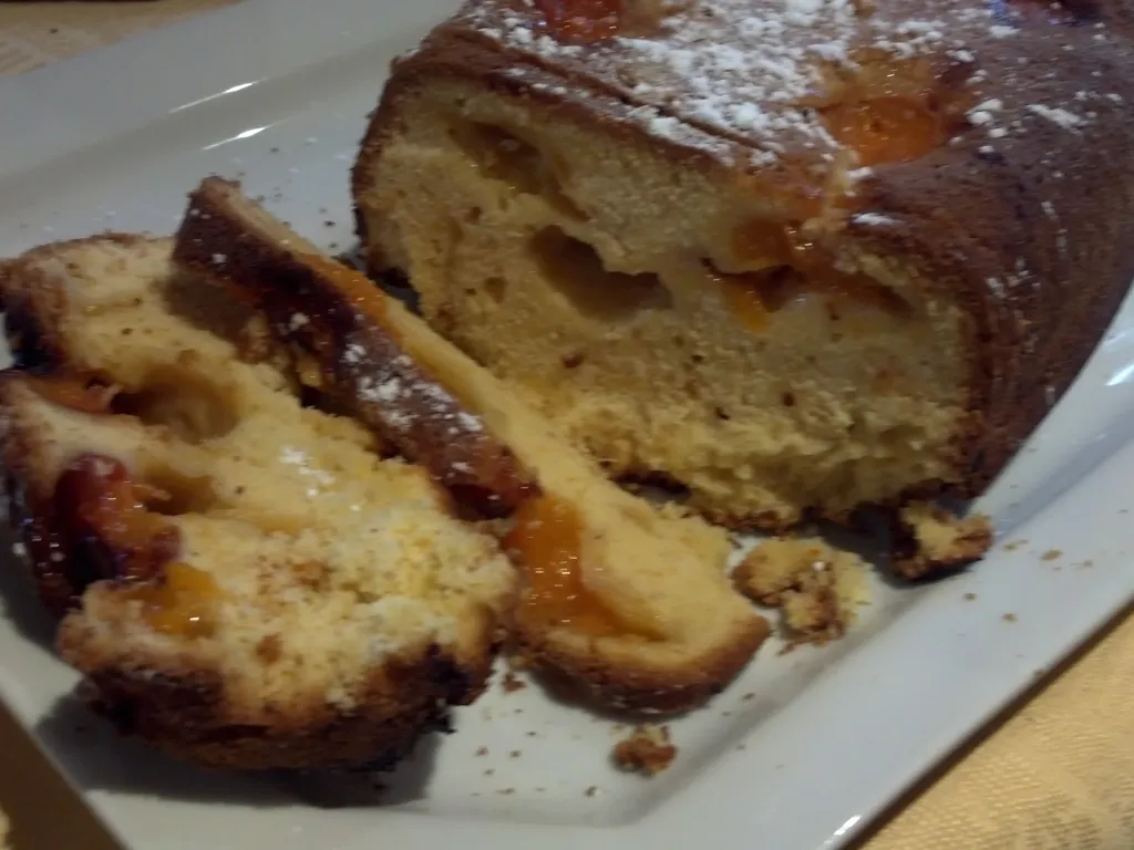 cake aux abricots