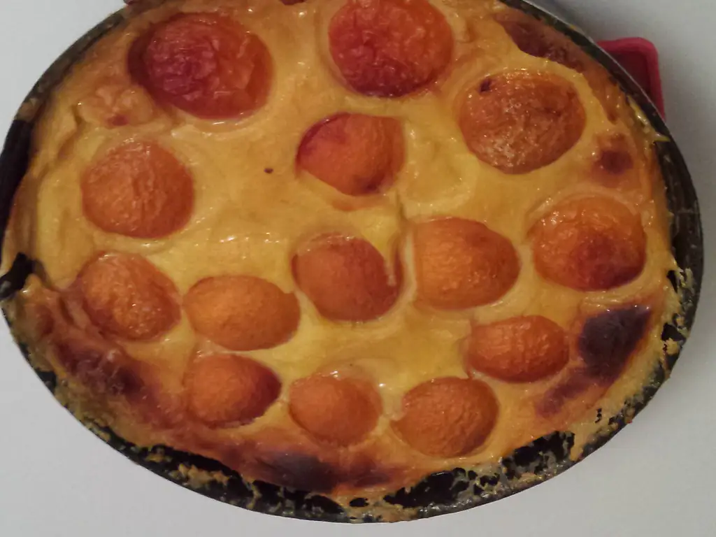 flan aux abricots maison