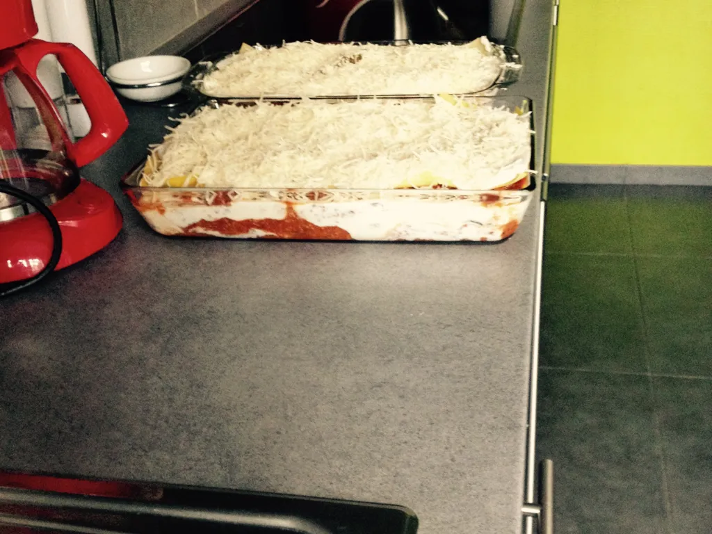 la lasagnes d'elo (aux courgettes, boeuf et porc, et ricotta)