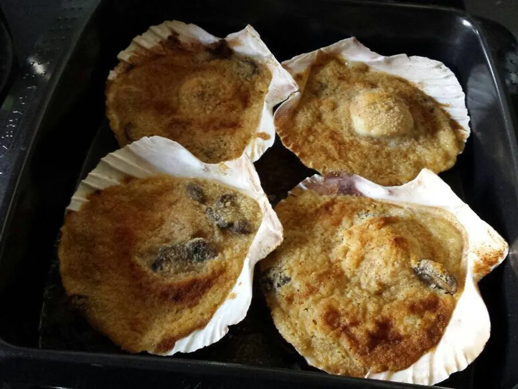 coquilles saint-jacques gratinées