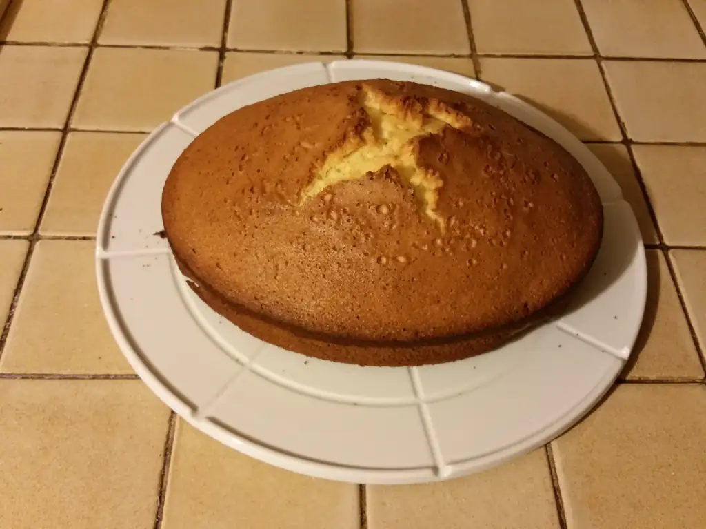 Gateau Cocotte Recette De Gateau Cocotte