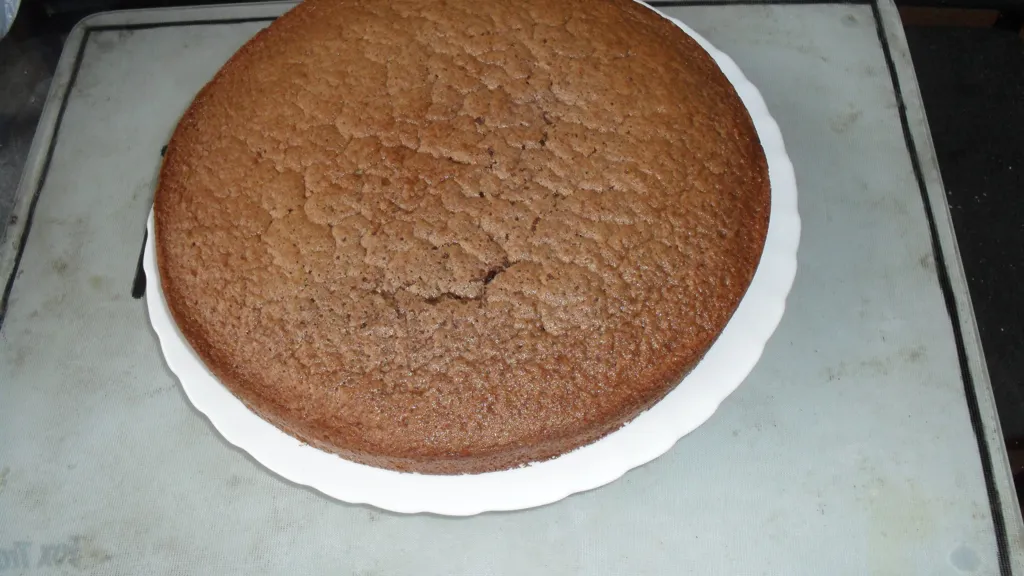 Gateau Aux Cacao En Poudre Recette De Gateau Aux Cacao En Poudre