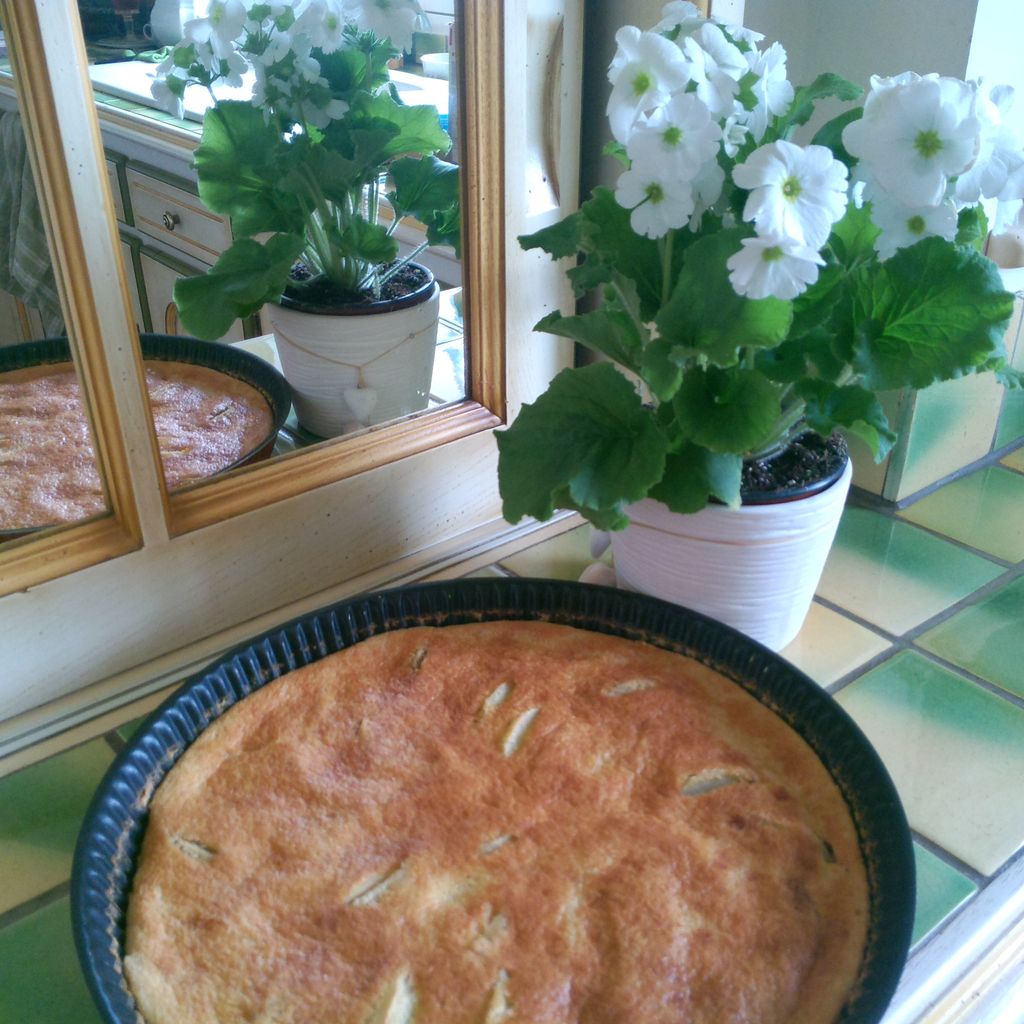 Tarte Moelleuse Aux Pommes Sans Pate Recette De Tarte Moelleuse Aux Pommes Sans Pate