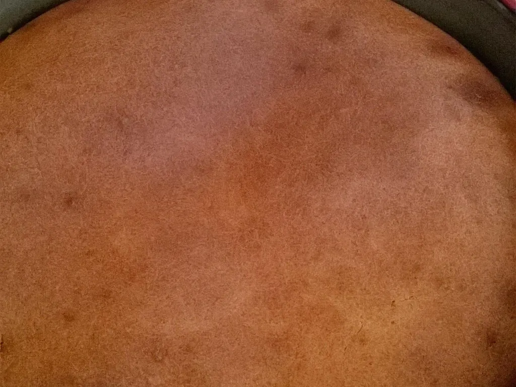 gâteau nature sans huile ni beurre