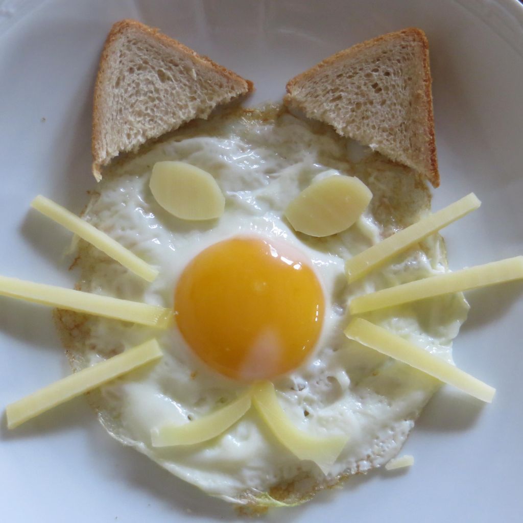 L Oeuf Chat Pour Les Enfants Recette De L Oeuf Chat Pour Les Enfants