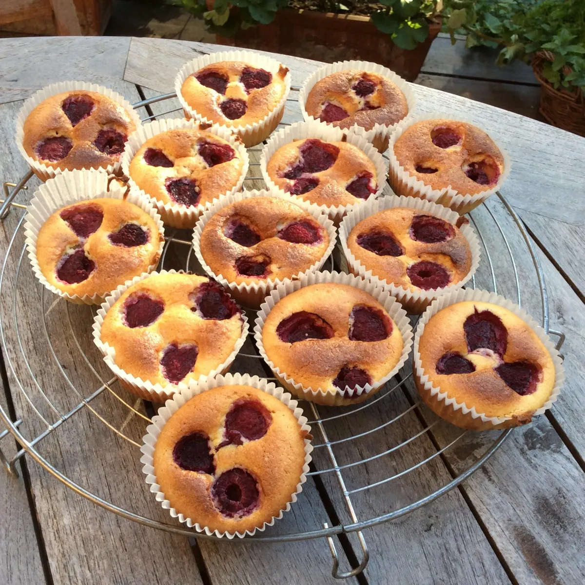 Petit Gateau A La Poudre D Amande Nos Delicieuses Recettes De Petit Gateau A La Poudre D Amande