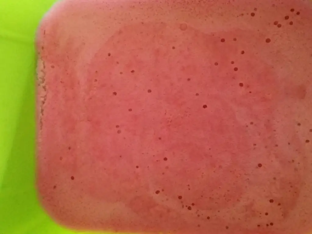 glace à la fraise light