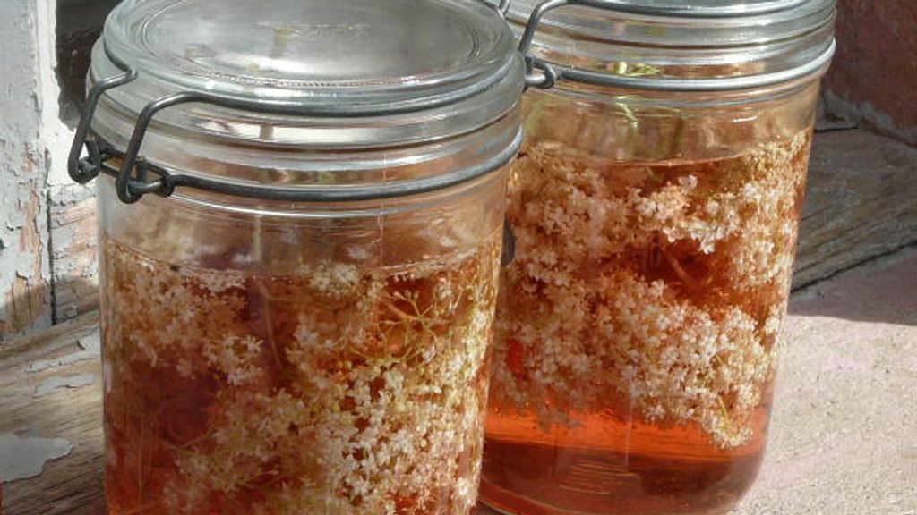 Vin de sureau facile-image