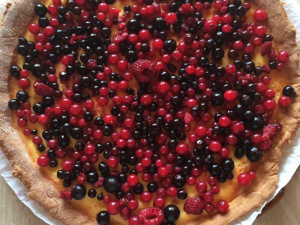 tarte aux fruits et au fromage blanc préparée de a à z