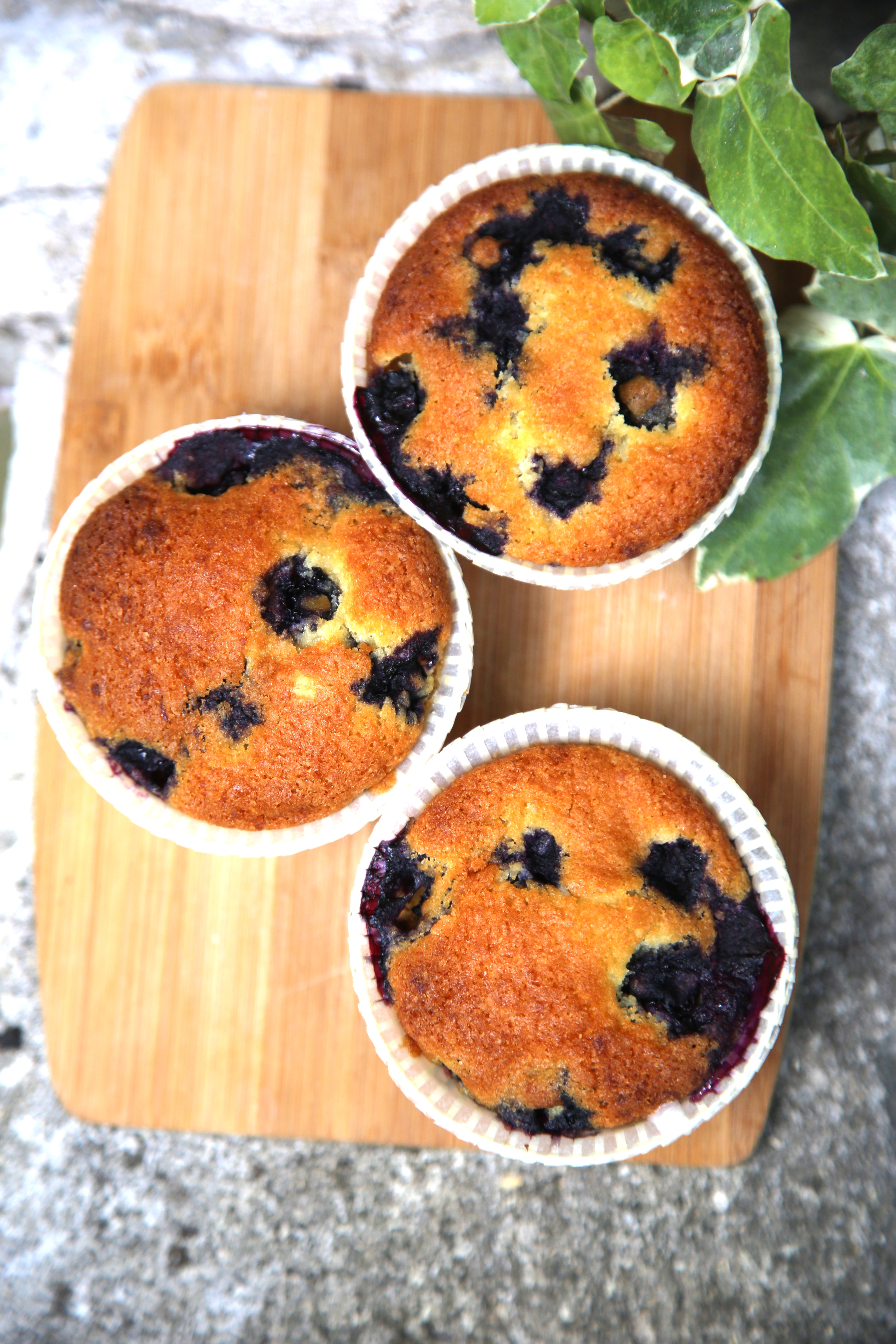 Mini Cakes Aux Myrtilles Et Au Chocolat Blanc American Blueberry Cupcake Recette De Mini Cakes Aux Myrtilles Et Au Chocolat Blanc American Blueberry Cupcake